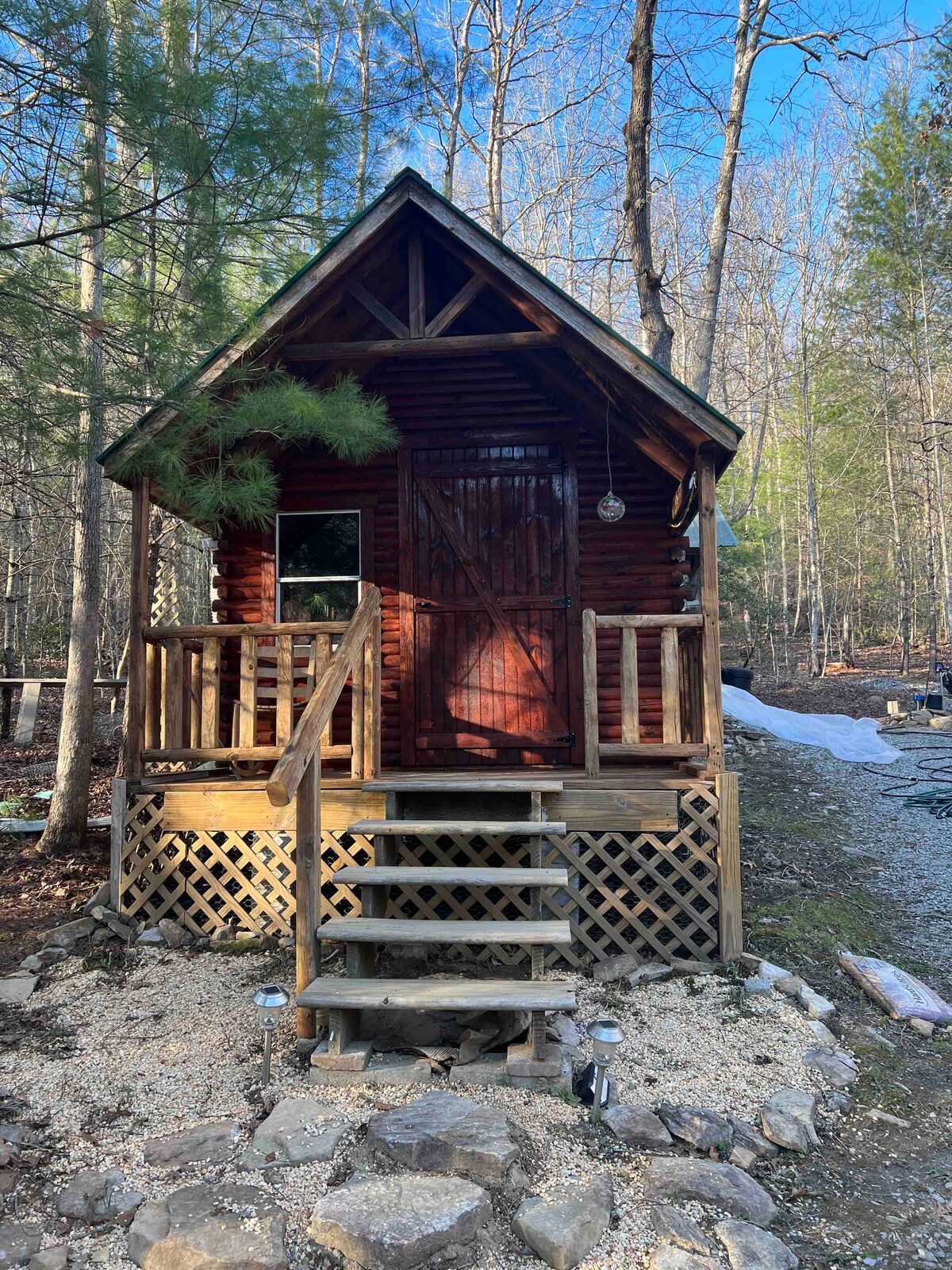 Tiny Cabin in a Forest