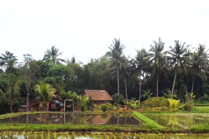 Kecamatan Abiansemal的民宿