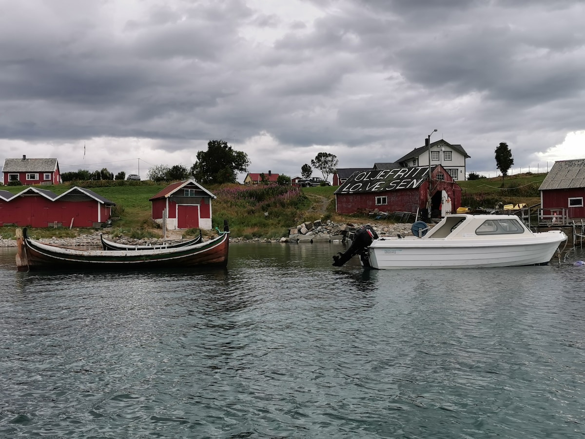 迷人的洛福滕（ Lofoten ）/维斯特罗伦（ Vesterålen ）岛现代风格住宅