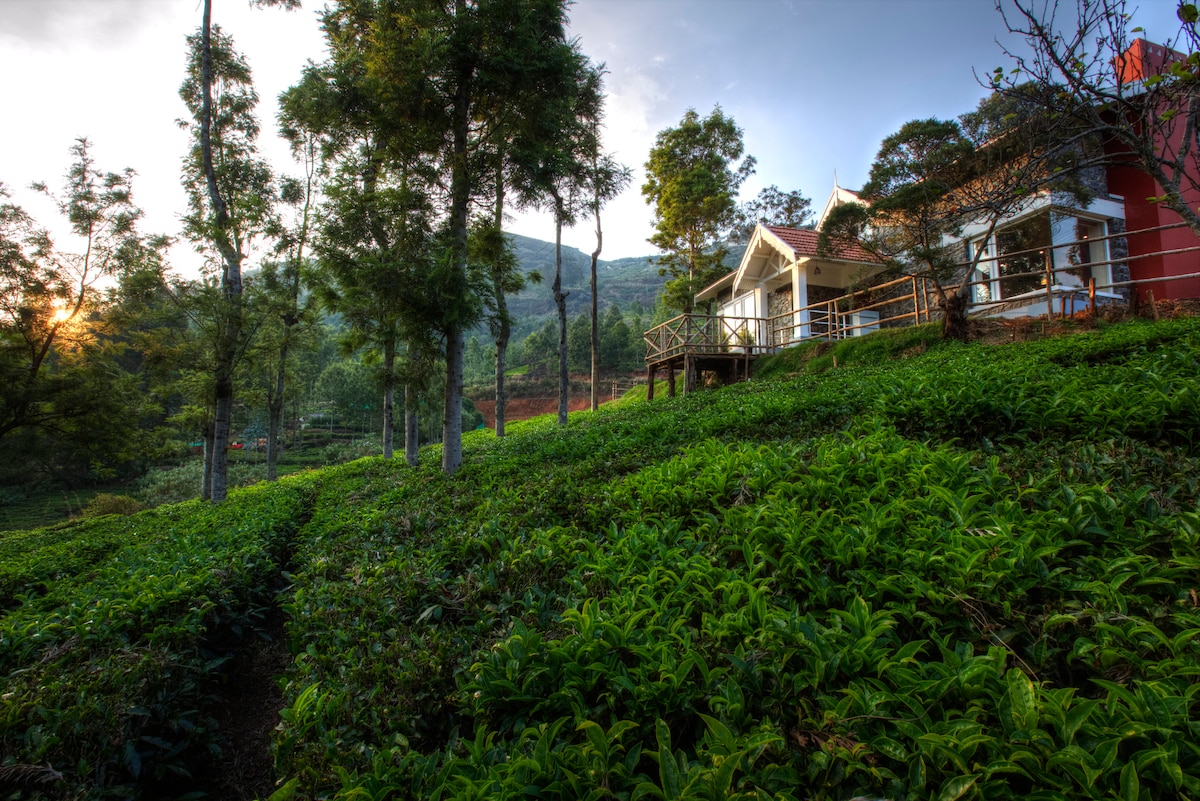 位于Ketti Valley的Blue Ridge Twin Stone Cottages