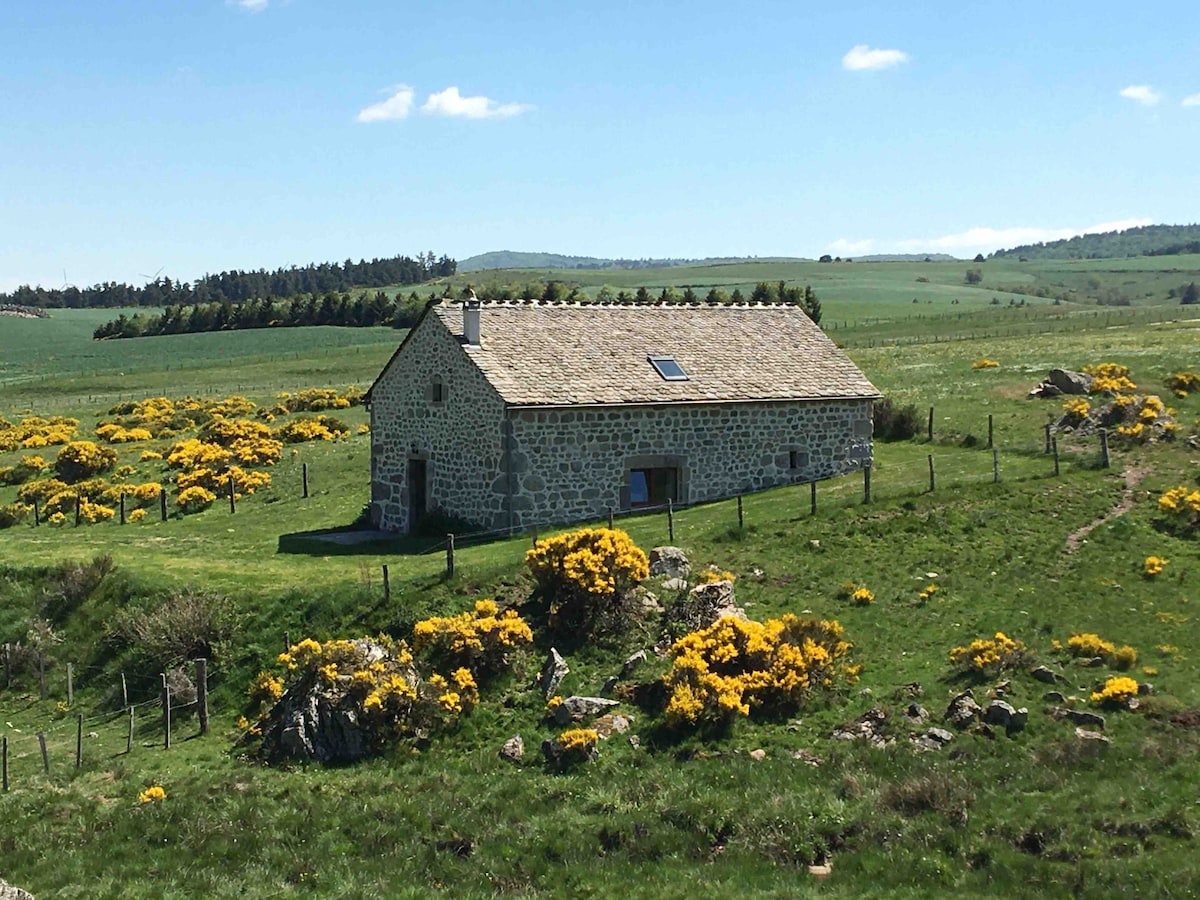 BURON CAMPAGNARD EN PLEINE NATURE