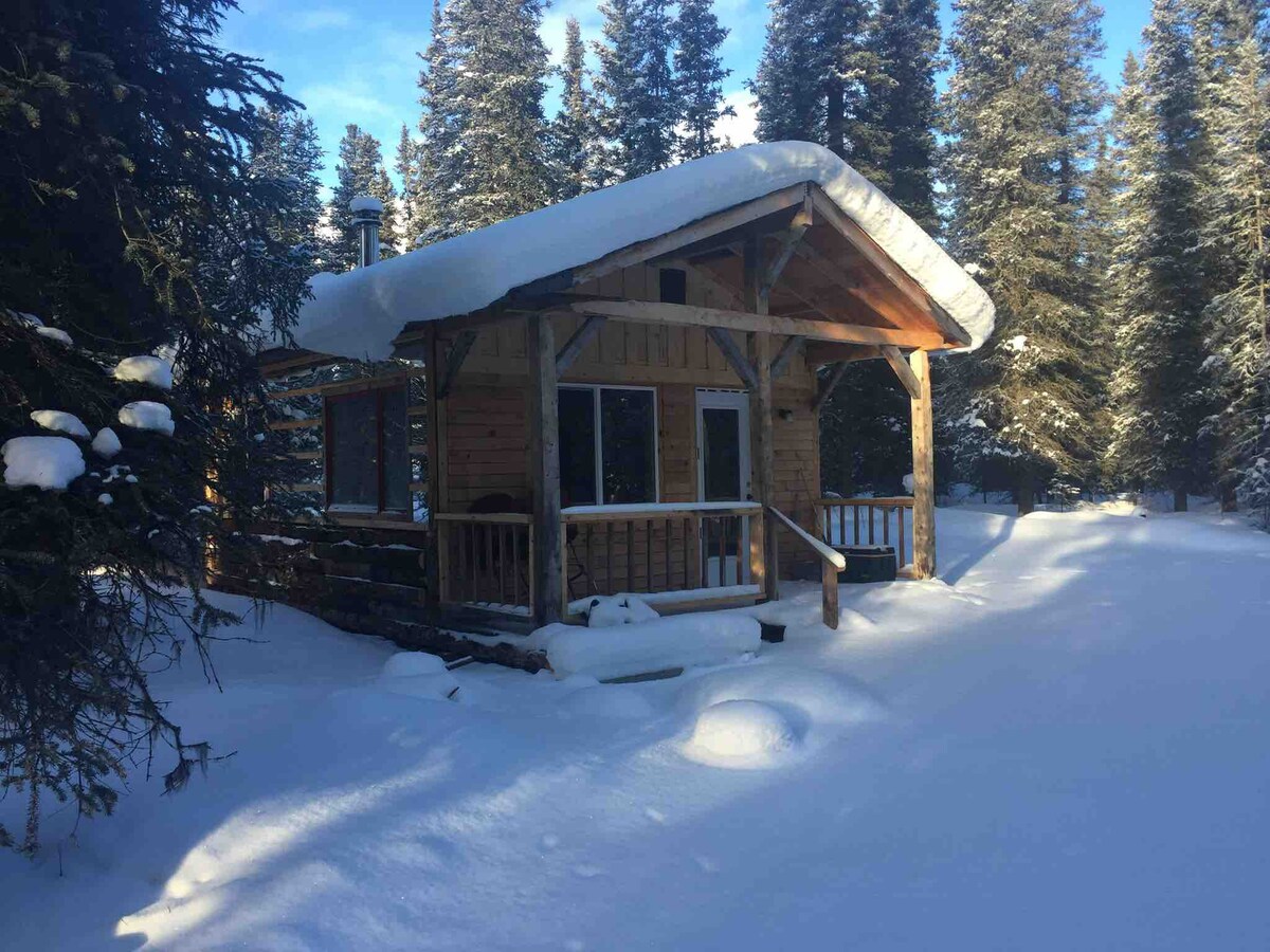 Denali NP附近的Tim 's Cabin