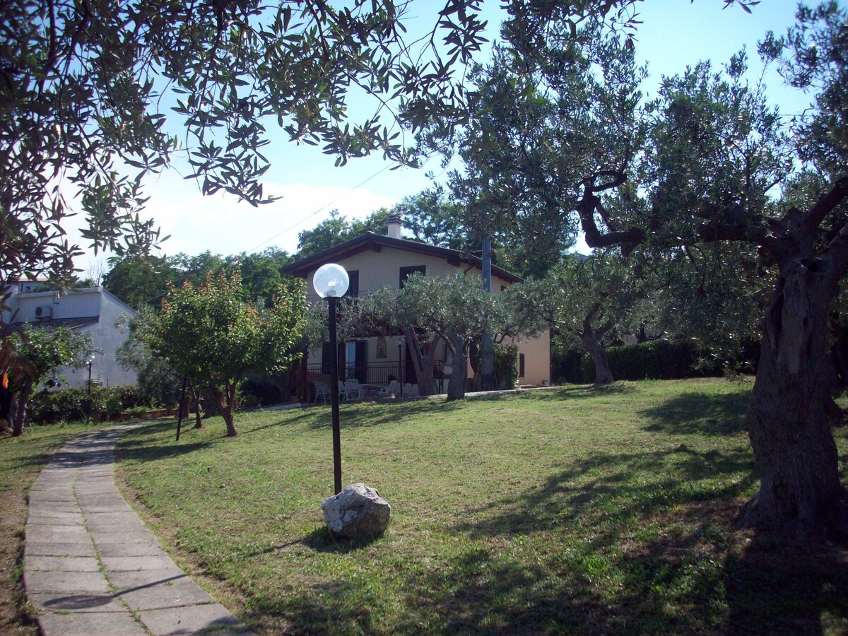 Villa sulla scogliera tra ulivi secolari