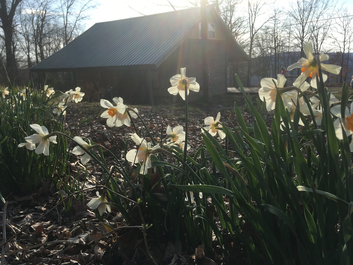 Ozarks, NWA的Hickory Mountain Cabin