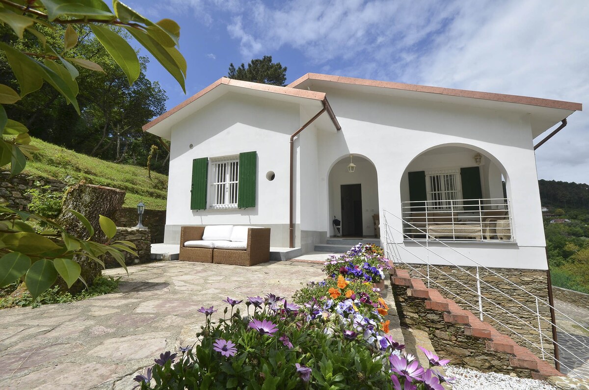 Villa Porto sul Magra blue