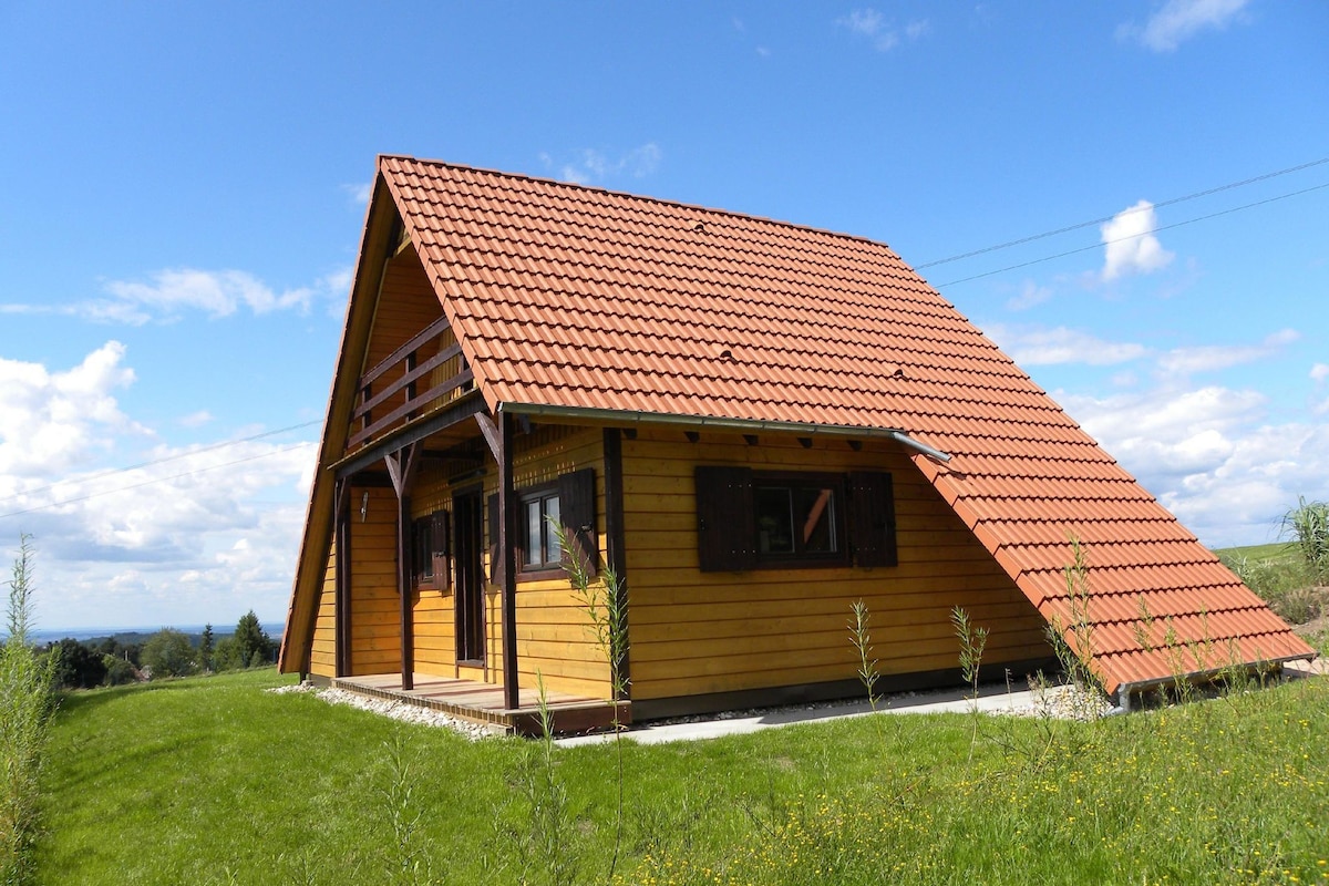 Cozy Chalet in Dabo with Terrace