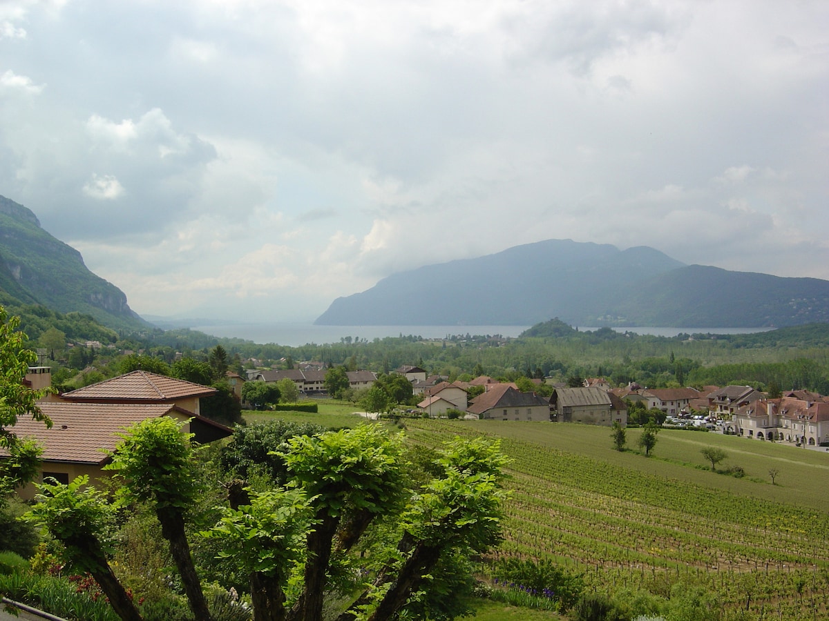 Chindrieux （ Aix les Bains ）看得见风景的房子