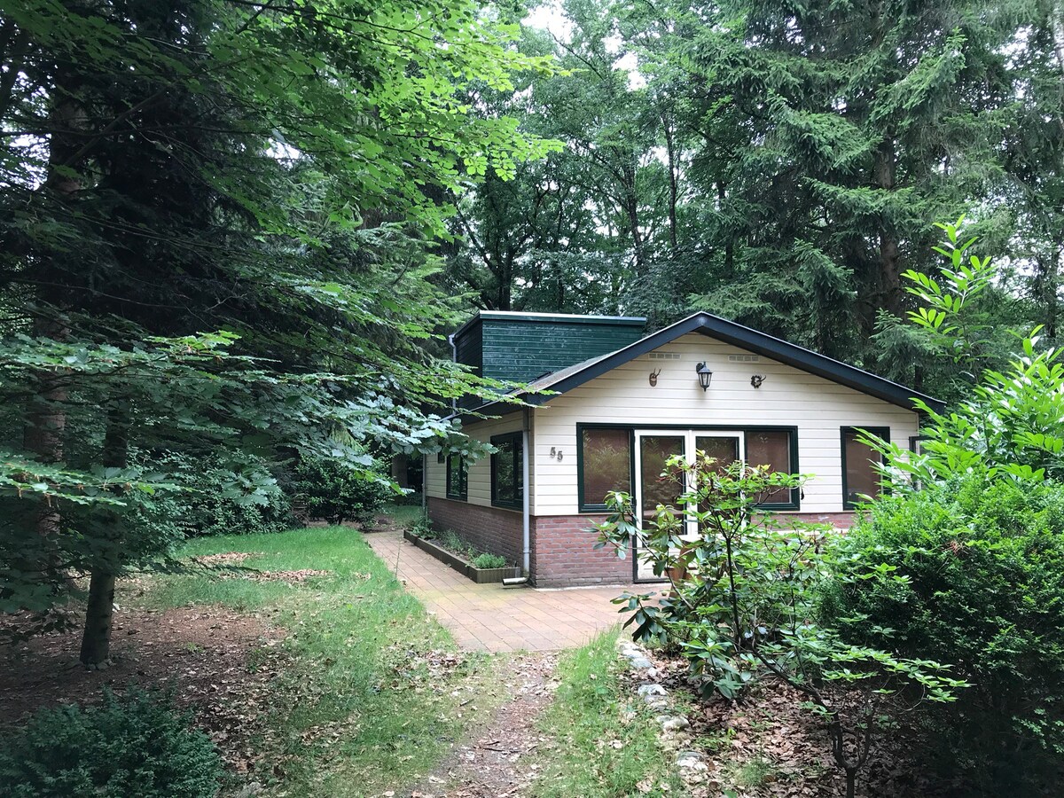 Heerlijke rustplek in boshuis Utrechtse Heuvelrug