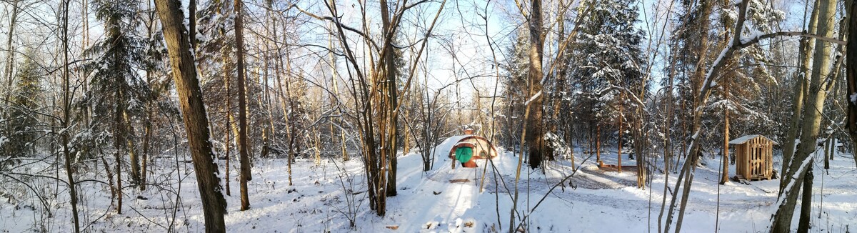 Ecohotel Hobbitland, House of Krolics家庭