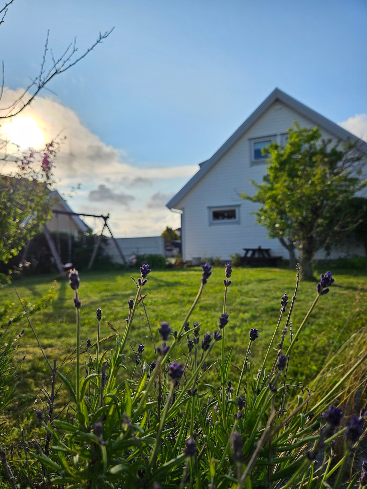 Ytterst i havgapet, tett på natur og sentrum