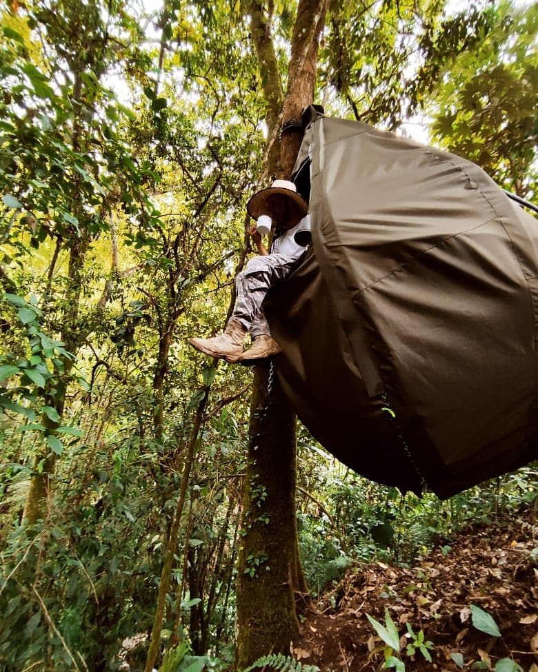 Carpa colgante en medio de la naturaleza