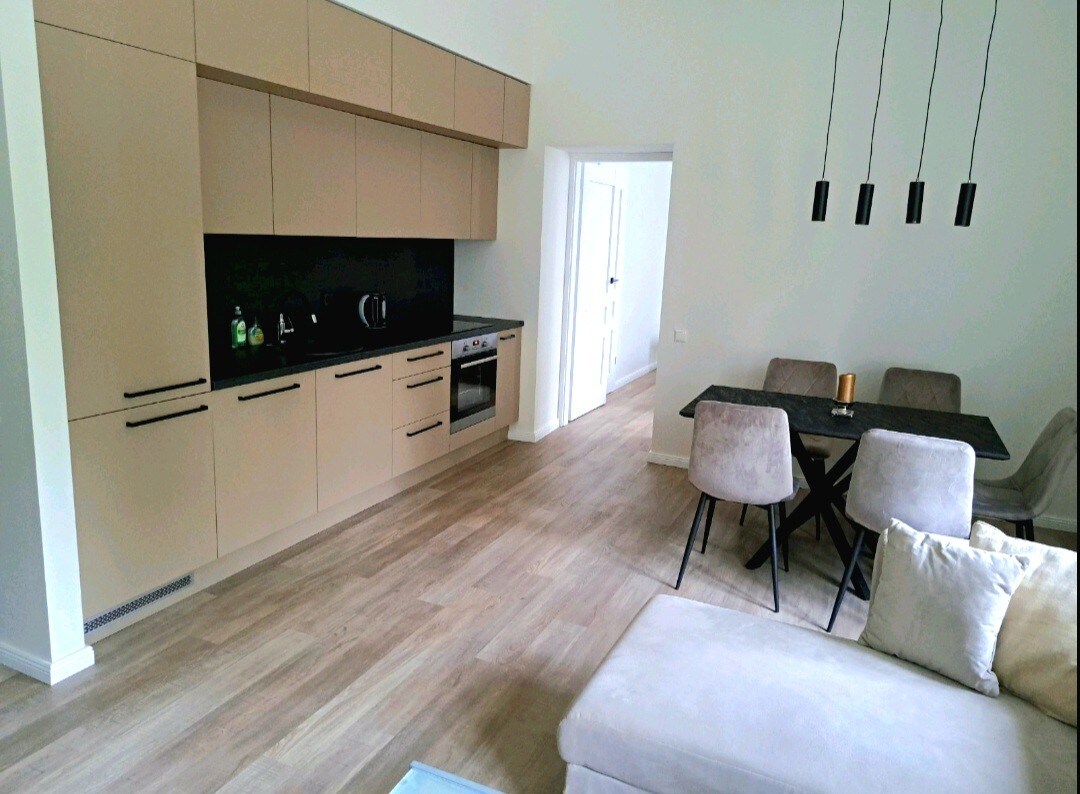 A modern 3 rooms apartment near Nemunas river