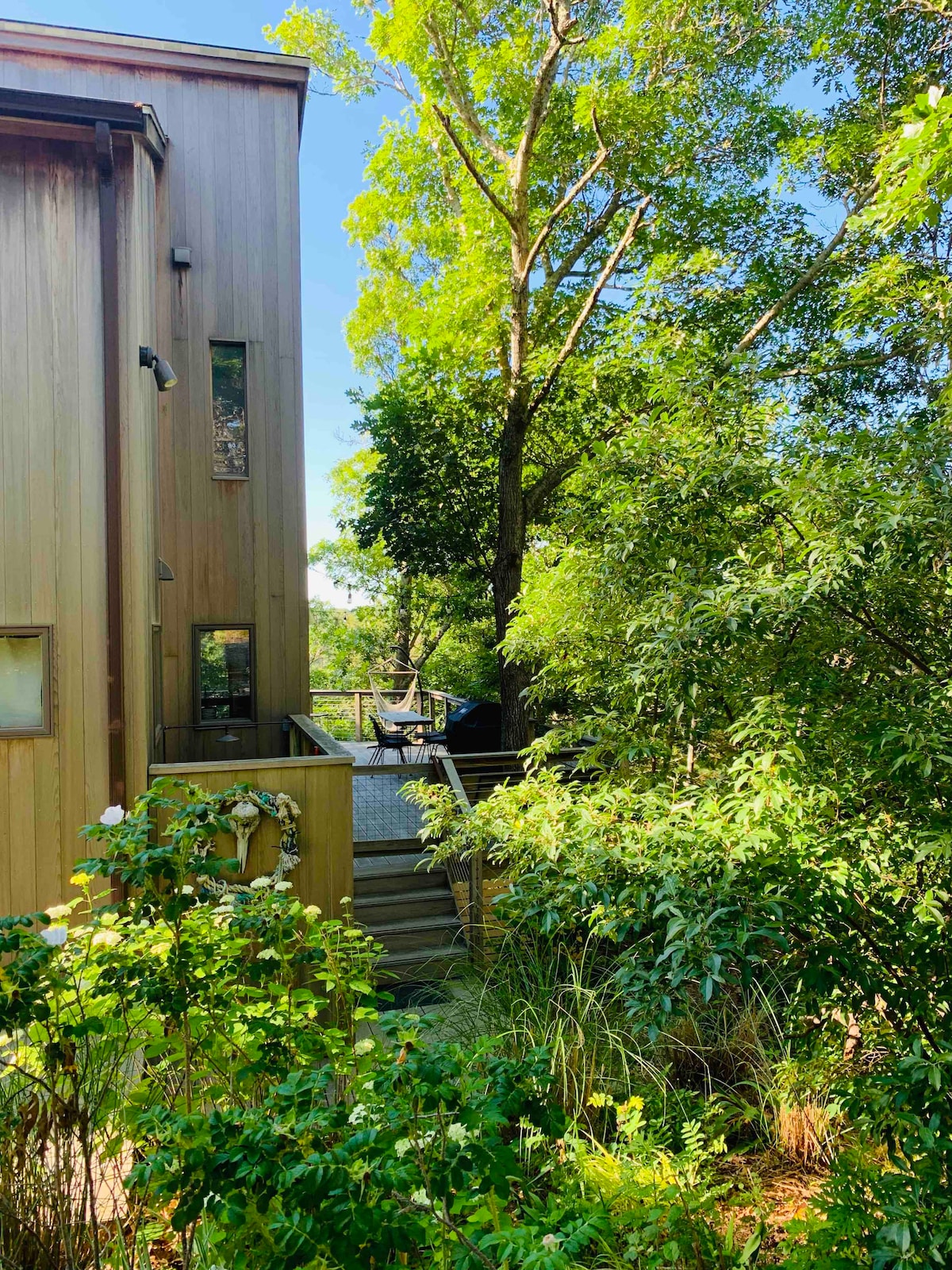 Wellfleet Home Above the Trees