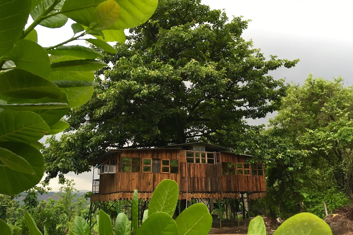 Jungle Treehouse by the river