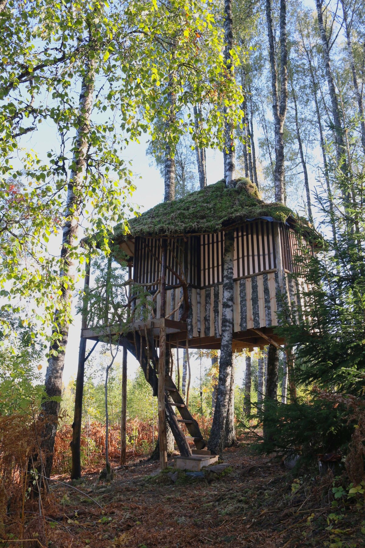 Bluesberry Woods Treehouse