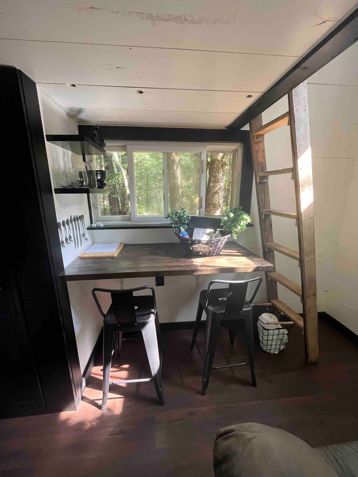 Tiny house glamping in woods of New Hampshire