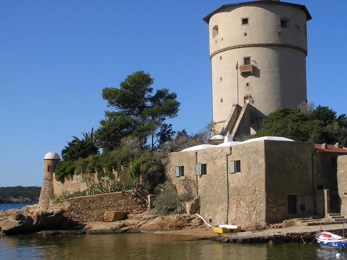 an ancient tower on the sea