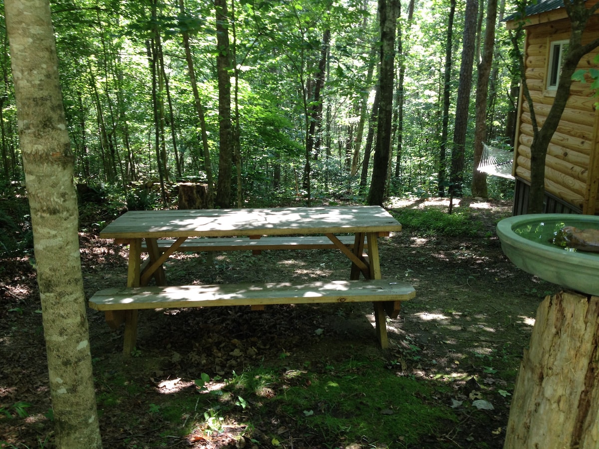 Forest Cabin at Sinking Creek