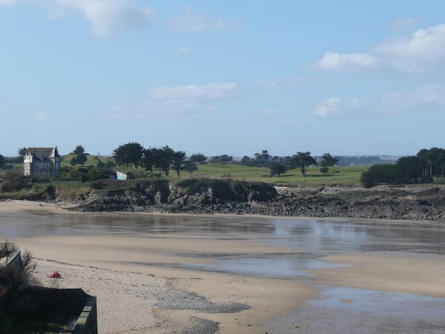 滨海圣布里阿克(Saint-Briac-sur-Mer)的民宿