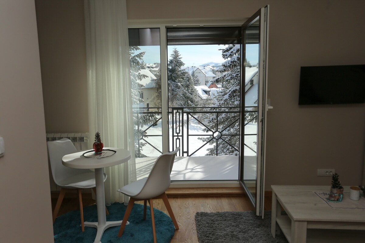 Mipet Apartments A1, mountain Zlatibor