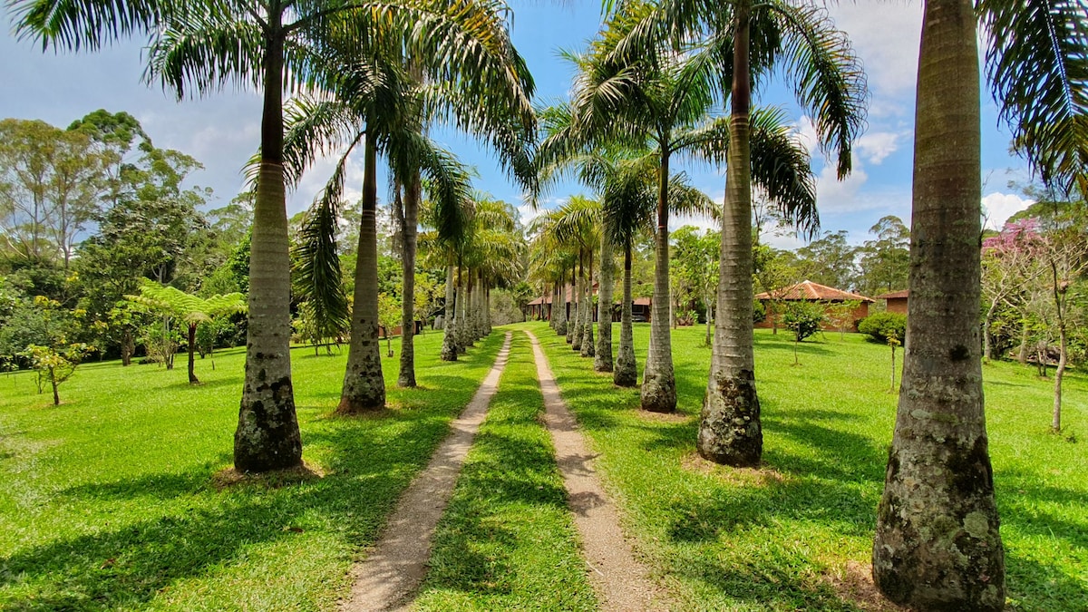 位于博罗雷岛（ Ilha do Bororé ）的带泳池的景点