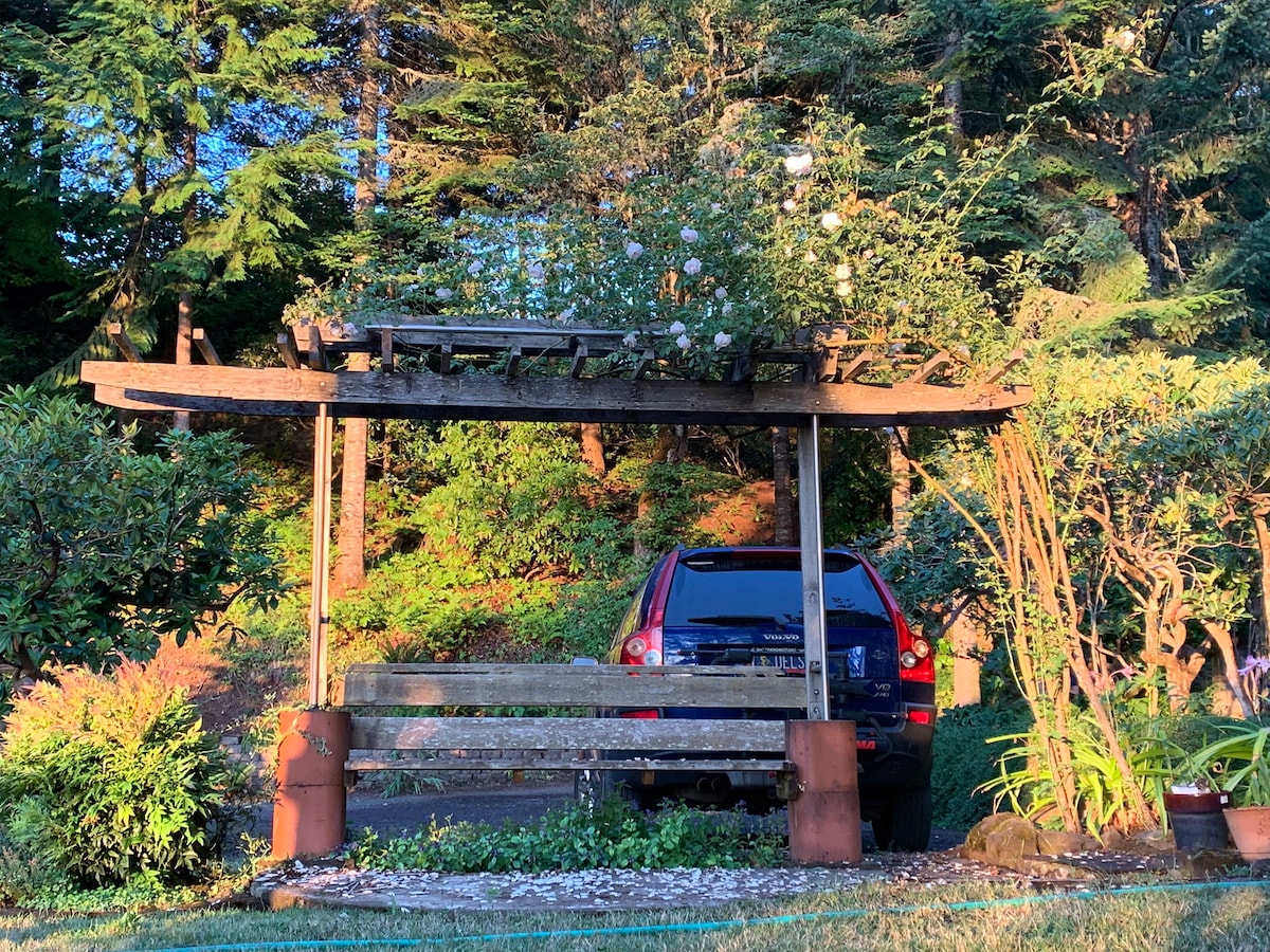 Blueberry Hill Hideaway - a Forest Jewel