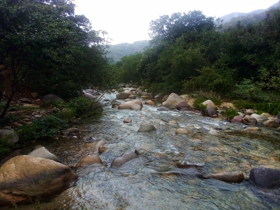 河畔和山边的房间。