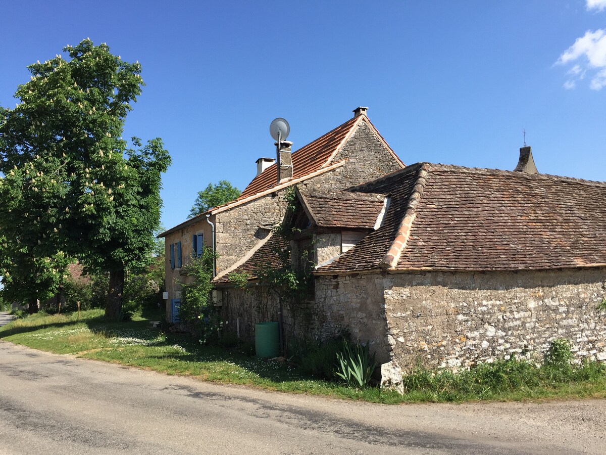 Renovated Presbytery with delightful pool