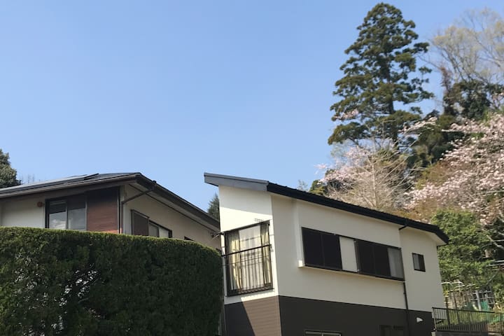 Ōamishirasato-shi的民宿
