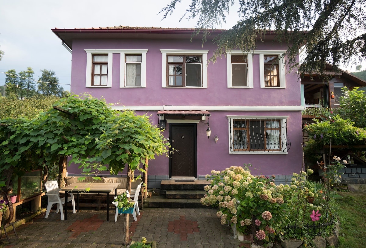 Great Black Sea View Village House