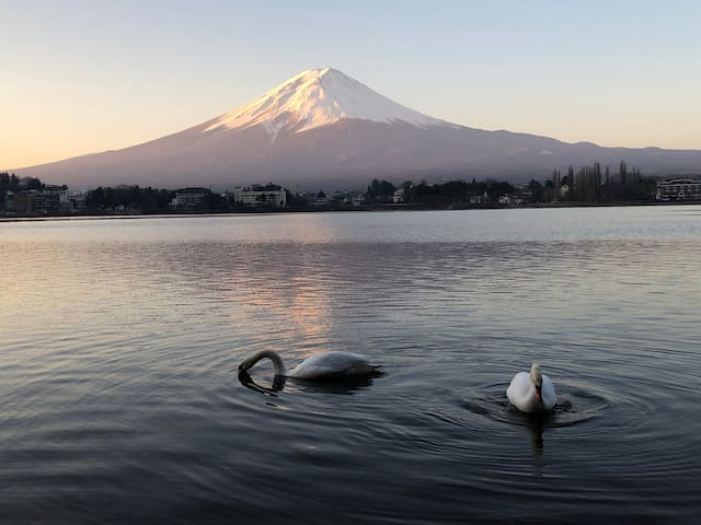 富士河口湖的民宿