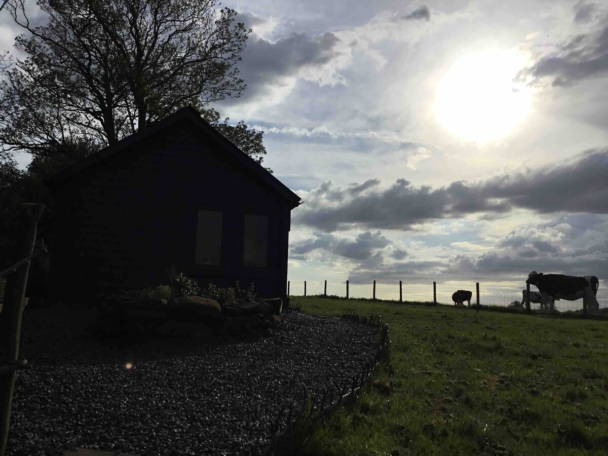 Hovel House Shed