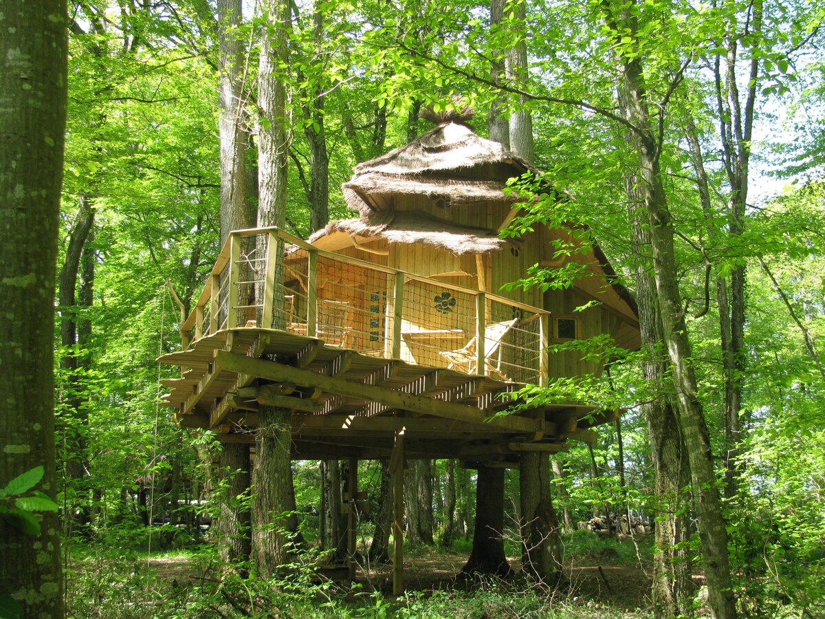 CABANE DANS LES ARBRES FAMILIALE DES LUTINS