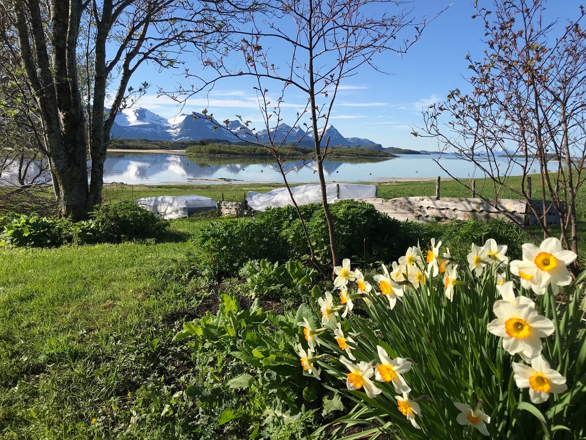 Country house in arctic Norway by the coast