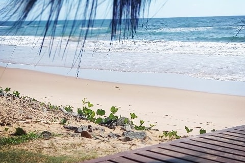 Licuri Praia de Algodões paz  amor na beira do mar