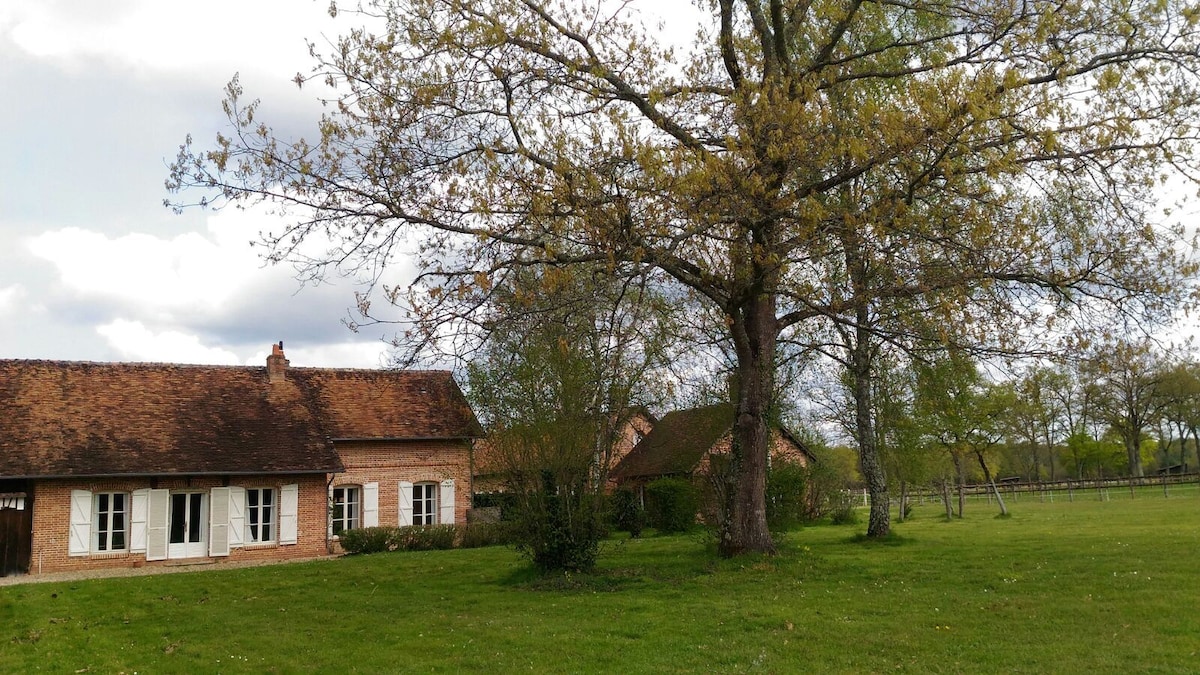 Gîte de La Petite Vigne