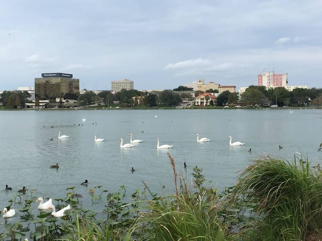 lake morton cottage - 莱克兰(lakeland)的客用住房 出租, 佛罗里达