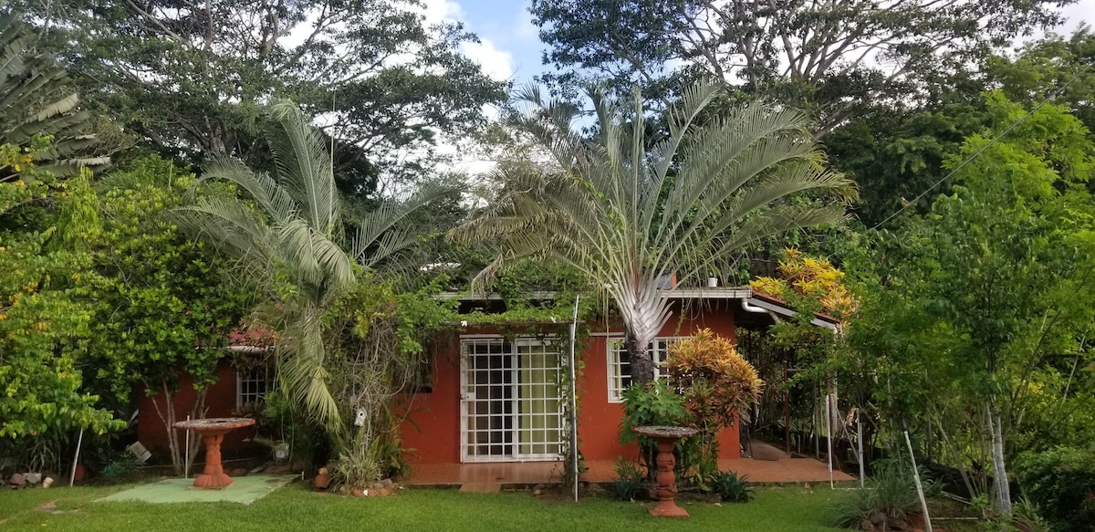 Tropical Suburban Splendor.