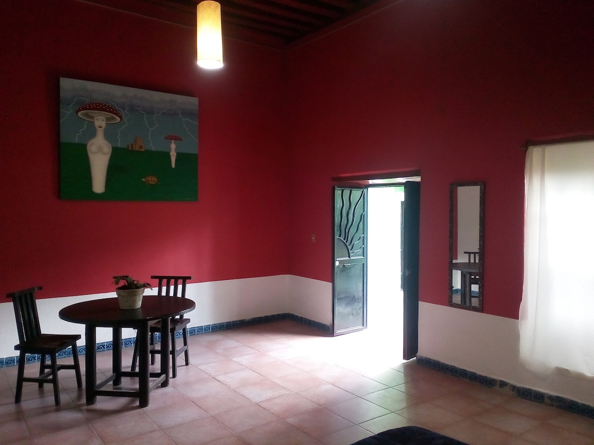 Habitación Grande - Guanajuato Historical Center