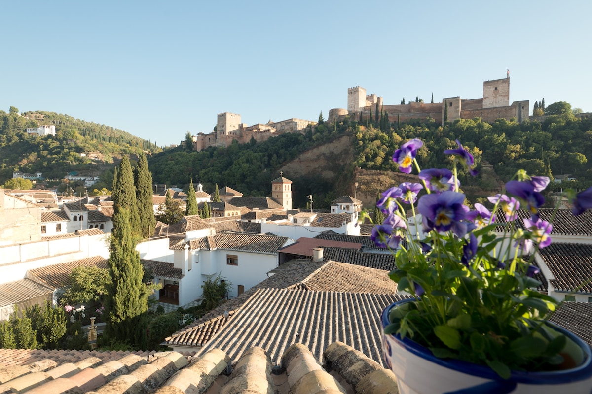 位于市中心的阿尔罕布拉宫（ ALHAMBRA ）的迷人景色