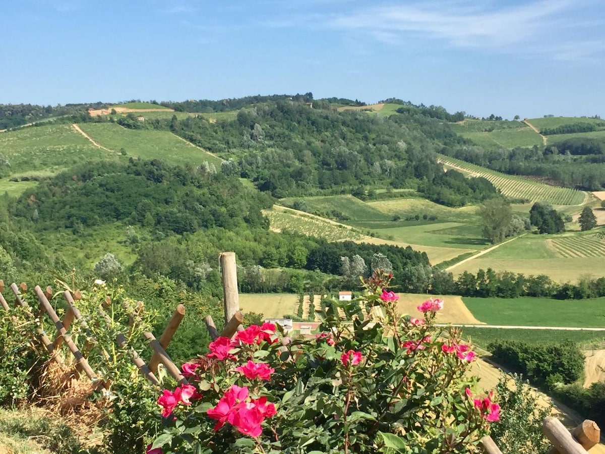 山坡别墅，景观绝佳， Monferrato Nice Monferrato