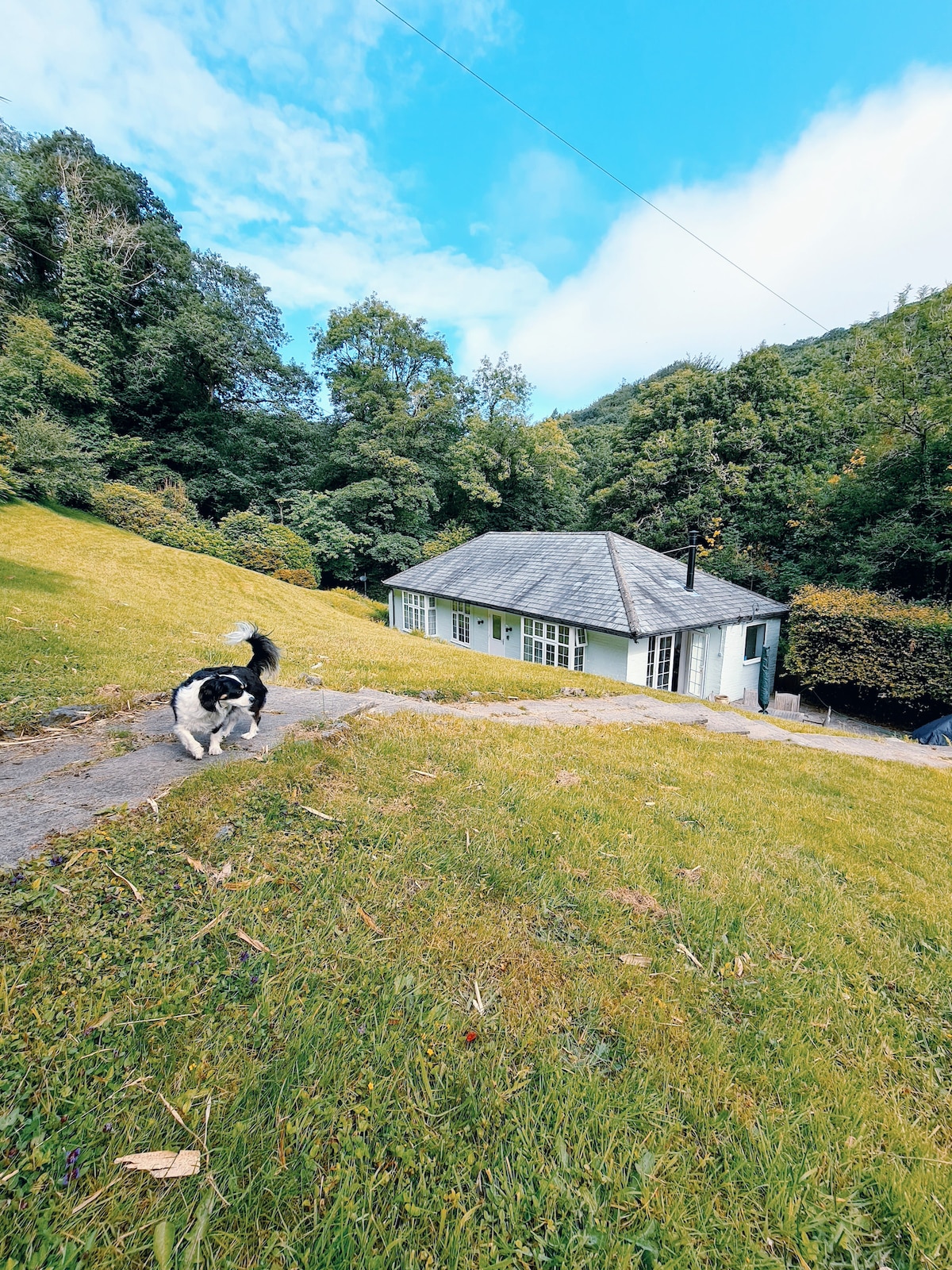 偏远河畔小屋+泳池（季节性） +热水浴缸