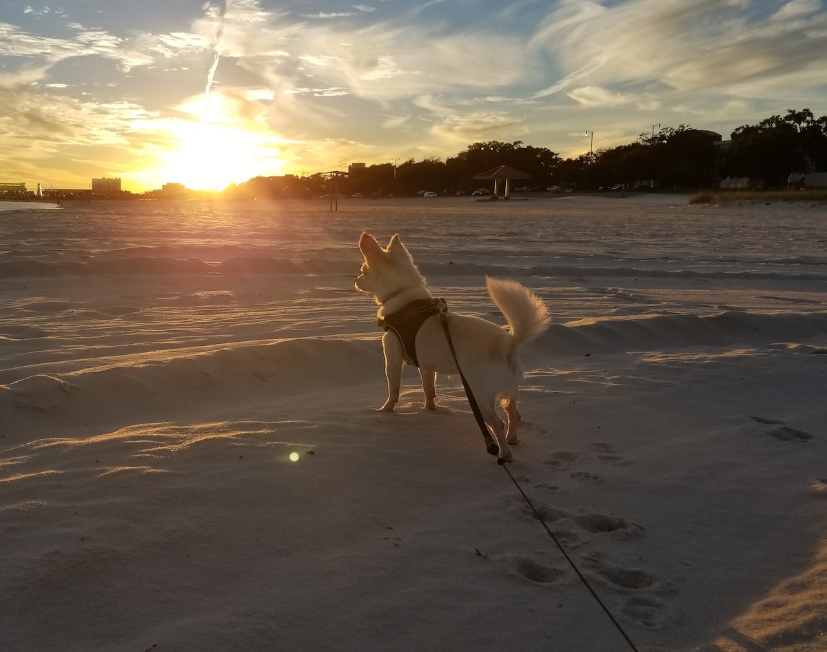 Gulfport Beach Hangout