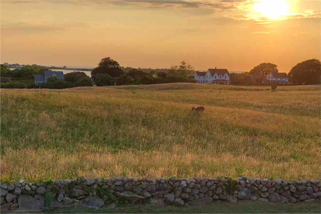 Crescent Beach Location and Beautiful Sunset Views