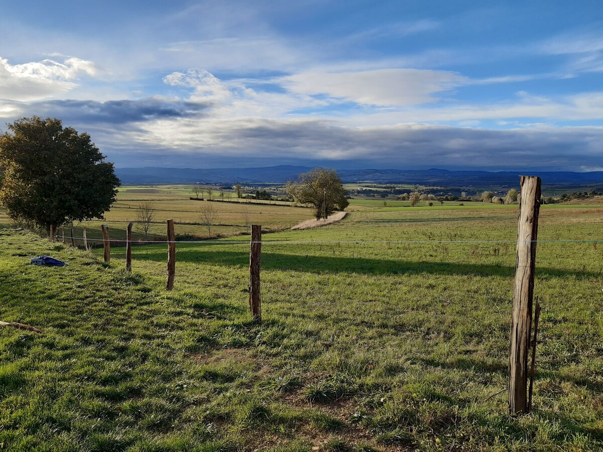 Magnifique fuste en Auvergne