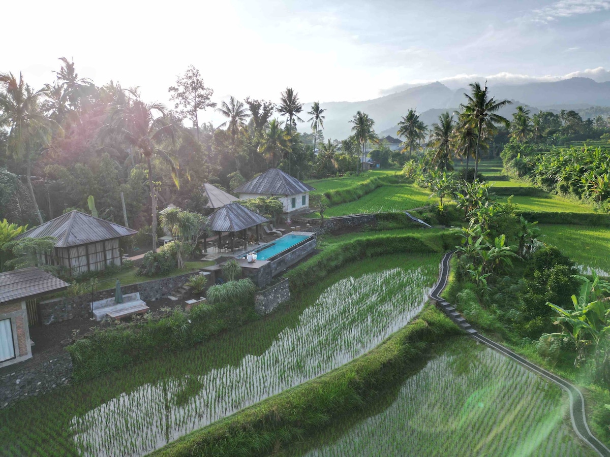 3间卧室，位于稻田（ Rice 🌾 Field ）的巴厘岛民宅，带泳池