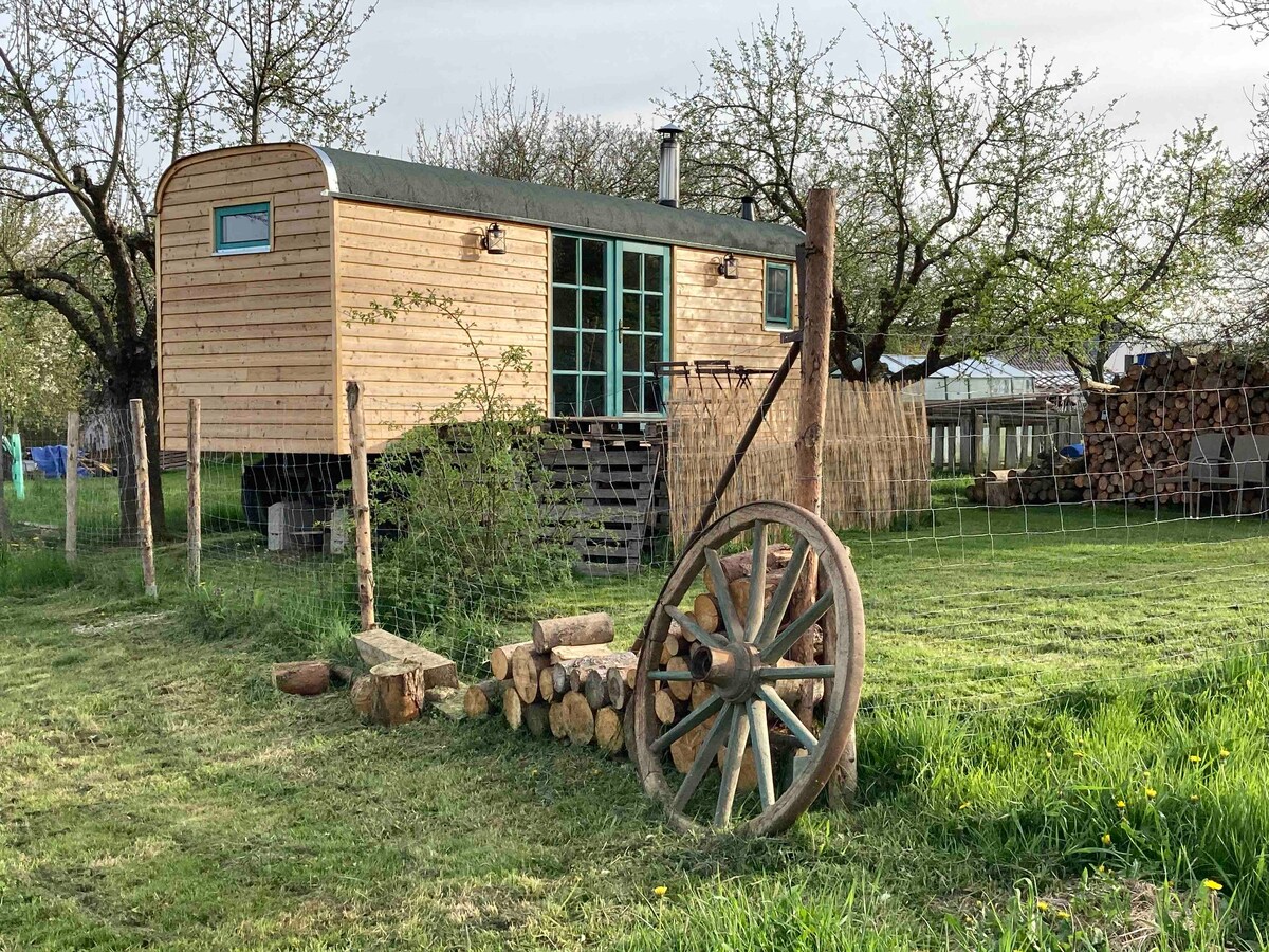 波希米亚南部牧羊人小屋，欣赏大自然美景