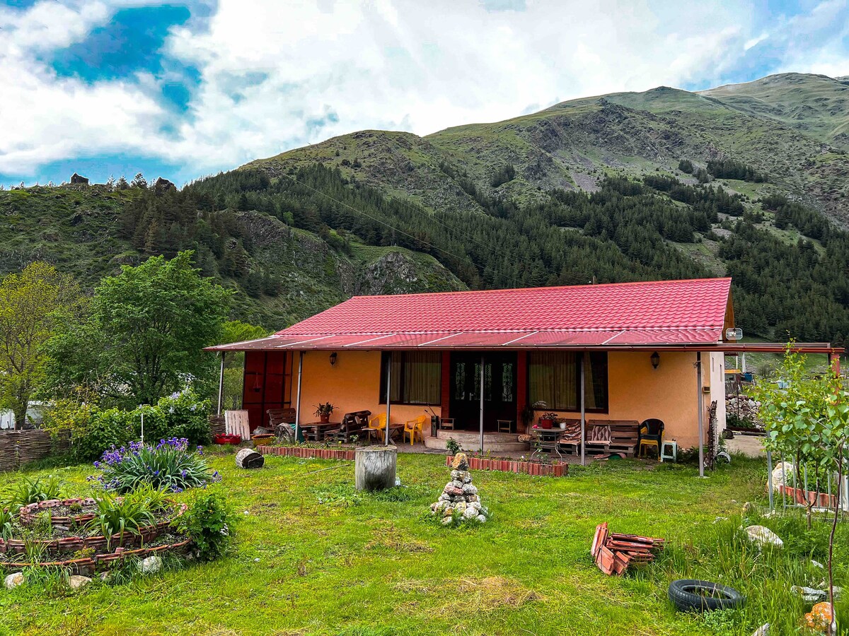 Januka garden. Kazbegi.sno