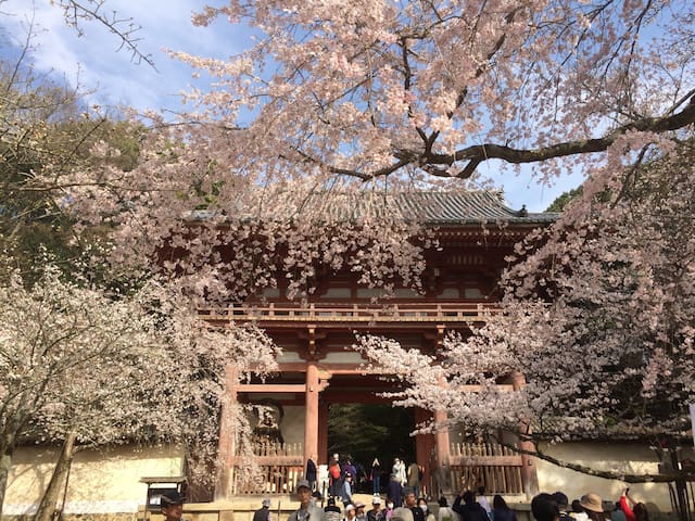 京都的民宿