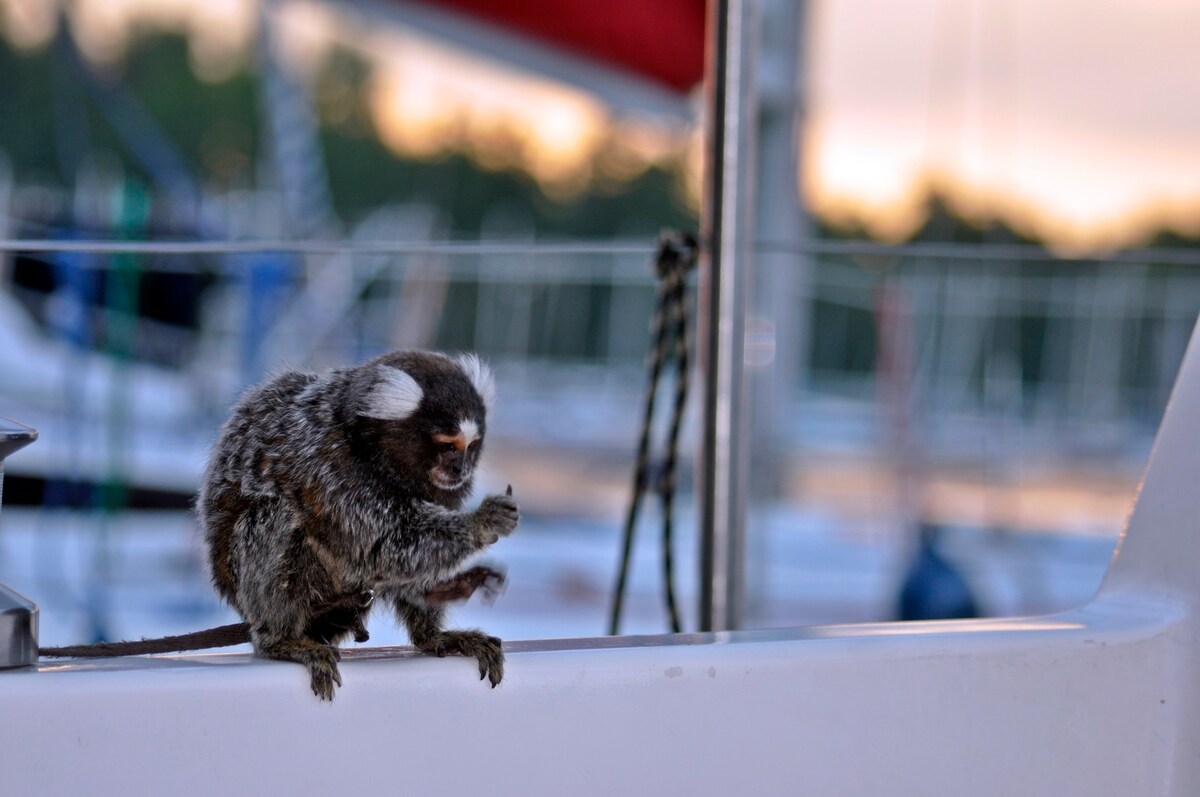 s/y Taki Myk